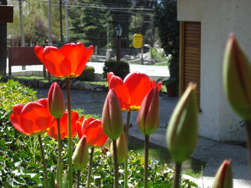 Mont Blanc Bungalows San Carlos de Bariloche Exterior photo